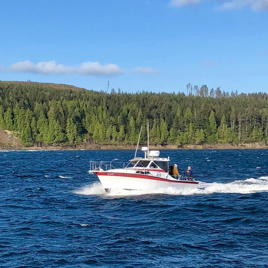 58805544_2314440895441405_6399146687129976832_n