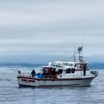 66392383_2362458607306300_7401747862544973824_n