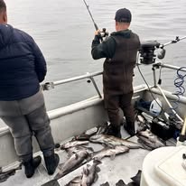 524576792_1151192337032841_1403306998451854692_n