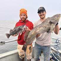 530856134_1161406999344708_6725286165763221384_n